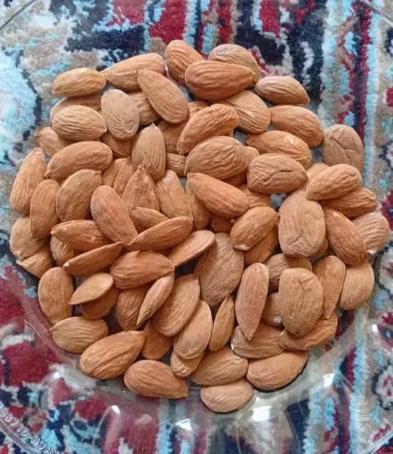 فروش انوام بادام درختی ،شمال فارس|عمده‌فروشی|اقلید, |دیوار