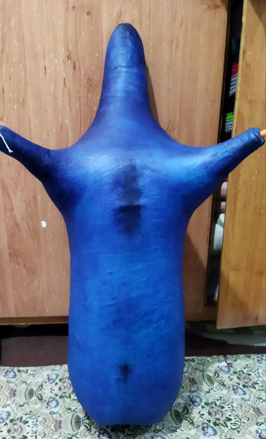 نی انبان|سازهای بادی|اهواز, شریعتی جنوبی|دیوار