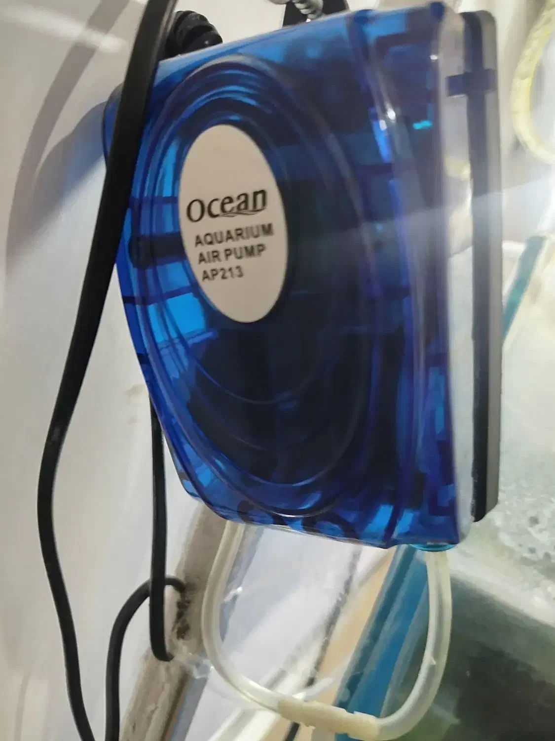 آکواریوم|ماهی|باسمنج, |دیوار