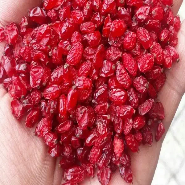 زرشک پویا|خوردنی و آشامیدنی|تبریز, |دیوار