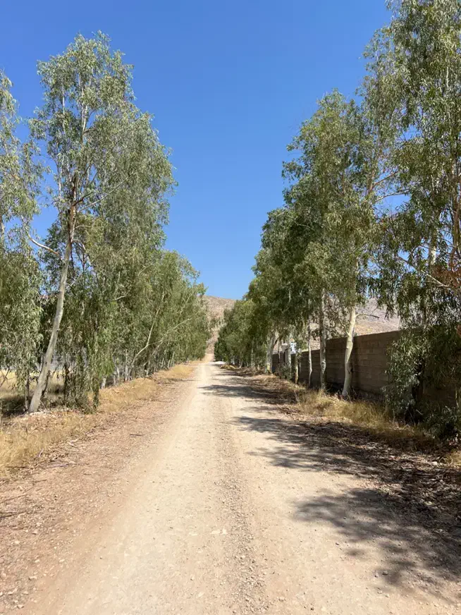 باغ 2200 متری با انشعابات کامل|فروش زمین و ملک کلنگی|شیراز, شهرک گلدشت حافظ‎|دیوار