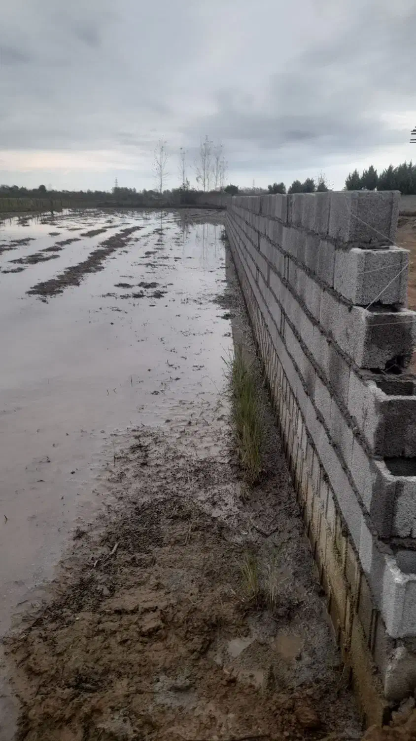 پیمان کاری  ساختمان|خدمات پیشه و مهارت|گوراب زرمیخ, |دیوار