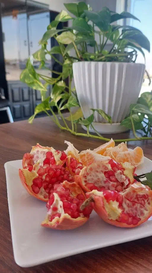 واگذاری شرکت فعال|خدمات رایانهای و موبایل|کرج, کرج نو|دیوار