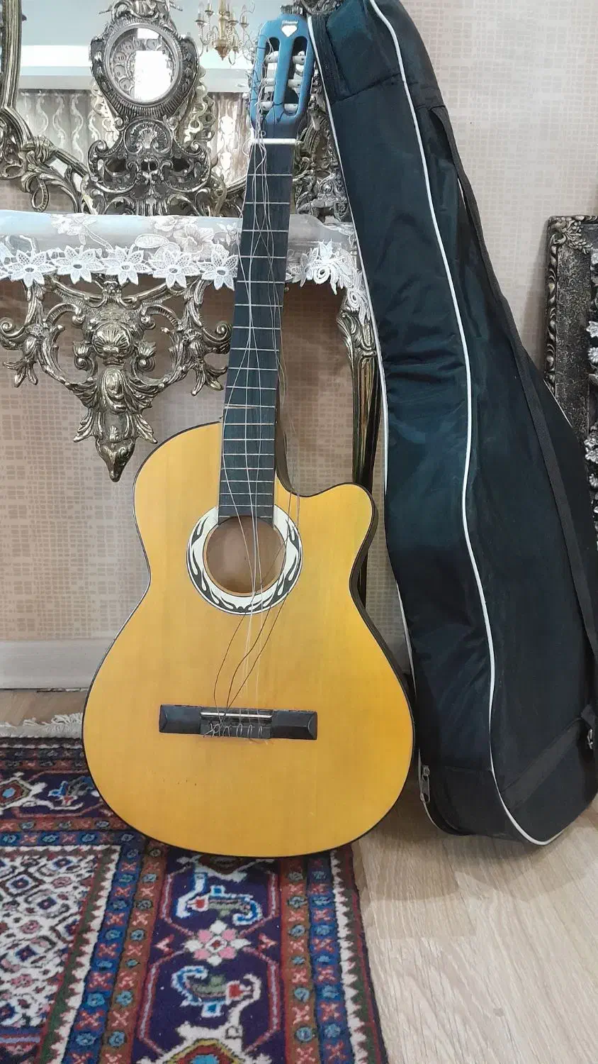 گیتار با کیف حمل|گیتار، بیس، امپلیفایر|اردبیل, |دیوار