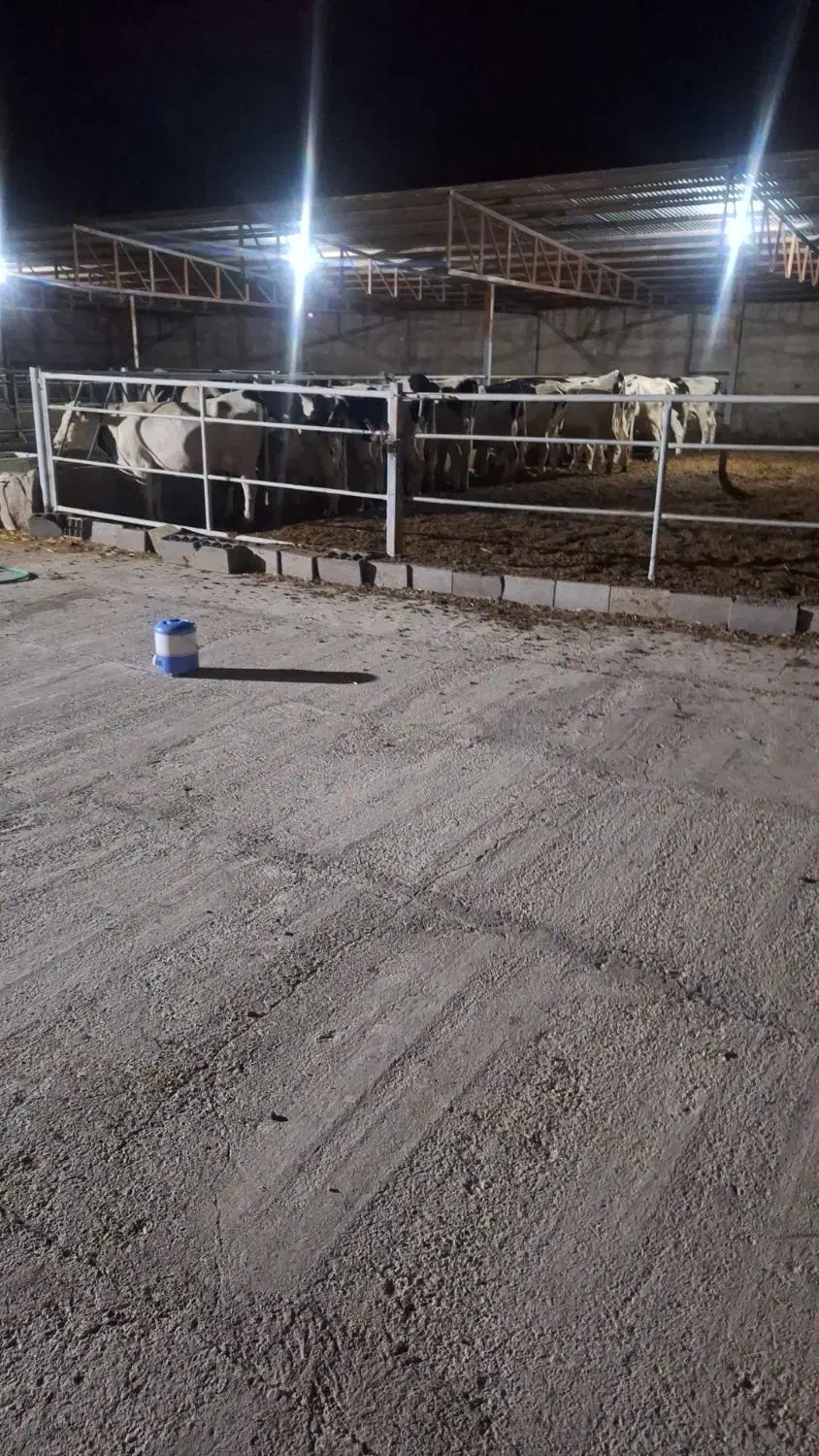 کارگر گاو داری|استخدام صنعتی، فنی، مهندسی|گاریزات, |دیوار