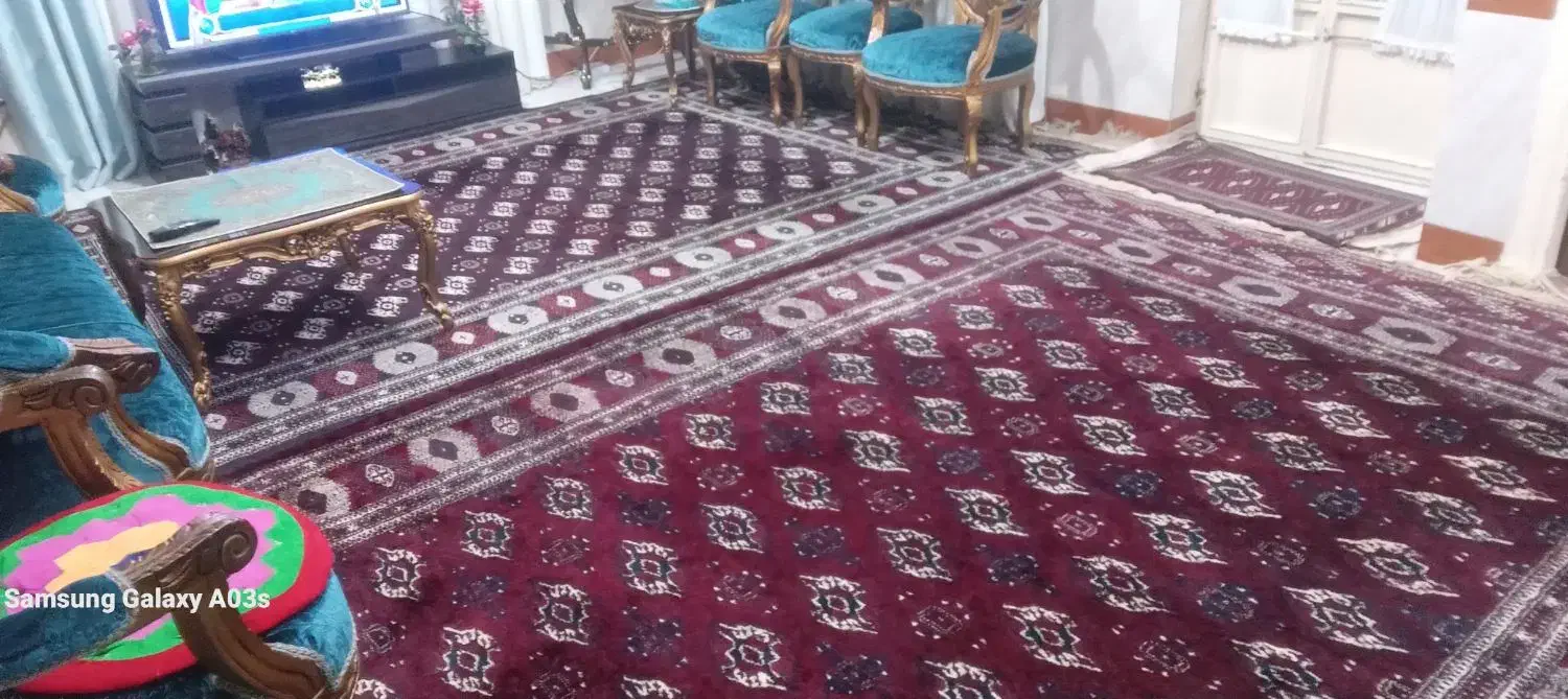 فرش ترکمنی|فرش|گرگان, |دیوار