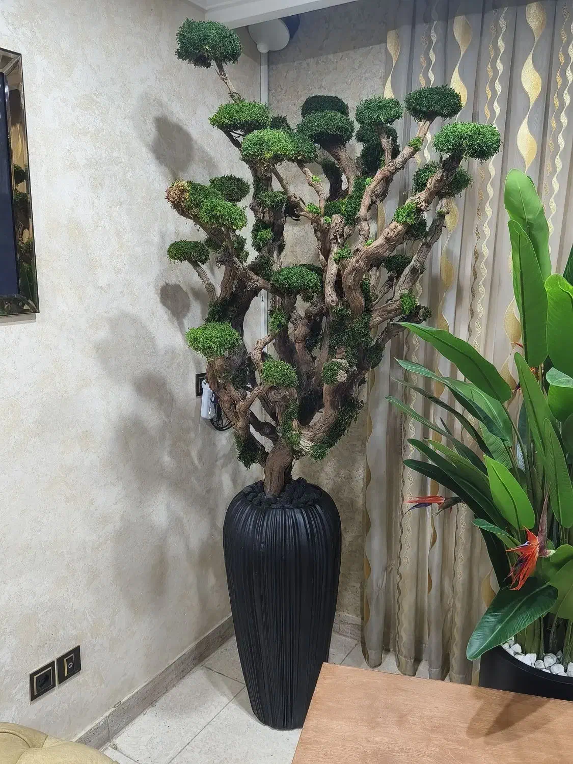 درخت جاودان vip شاهپسند با گلدان مصری بلند|گل مصنوعی|شاهدشهر, |دیوار