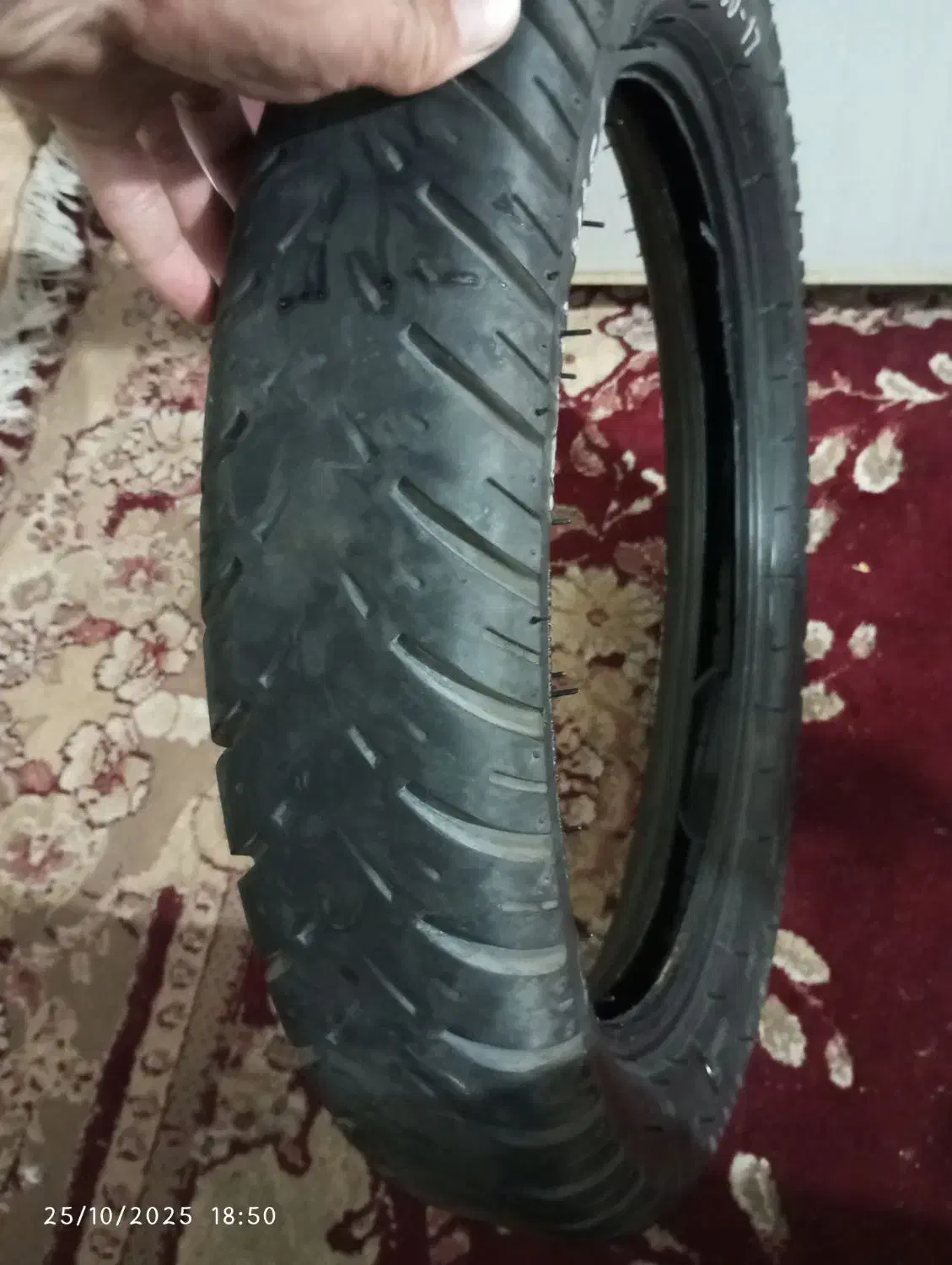 دوچرخه|دوچرخه، اسکیت، اسکوتر|بیرجند, |دیوار