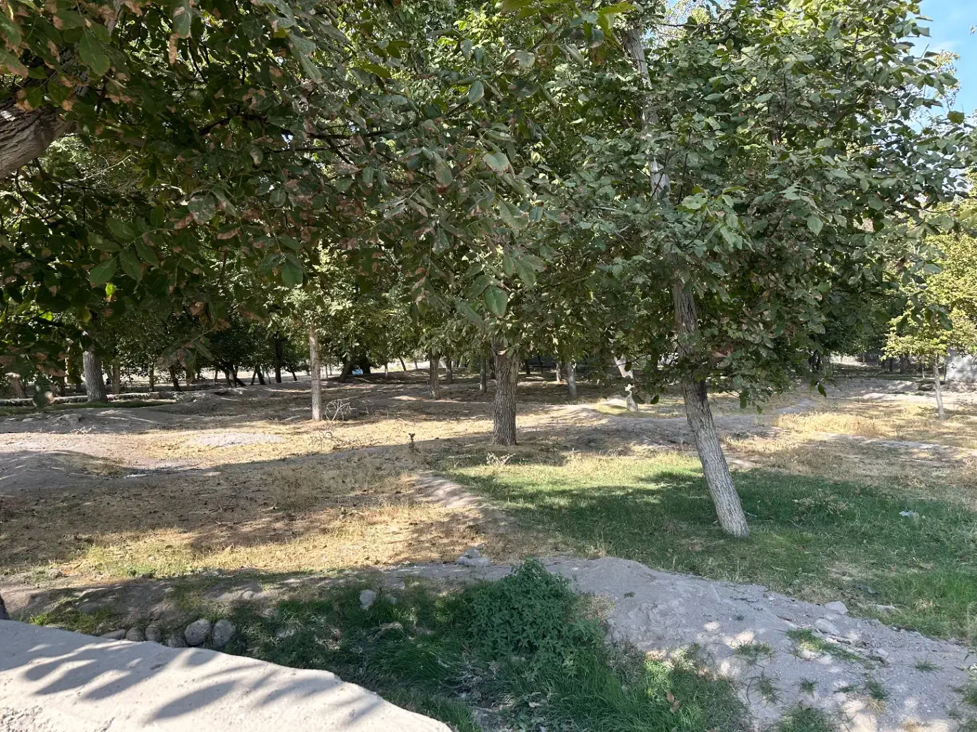 باغ در منطقه خوش آب و هوا باویل|فروش دفتر صنعتی، کشاورزی، تجاری|اسکو, |دیوار