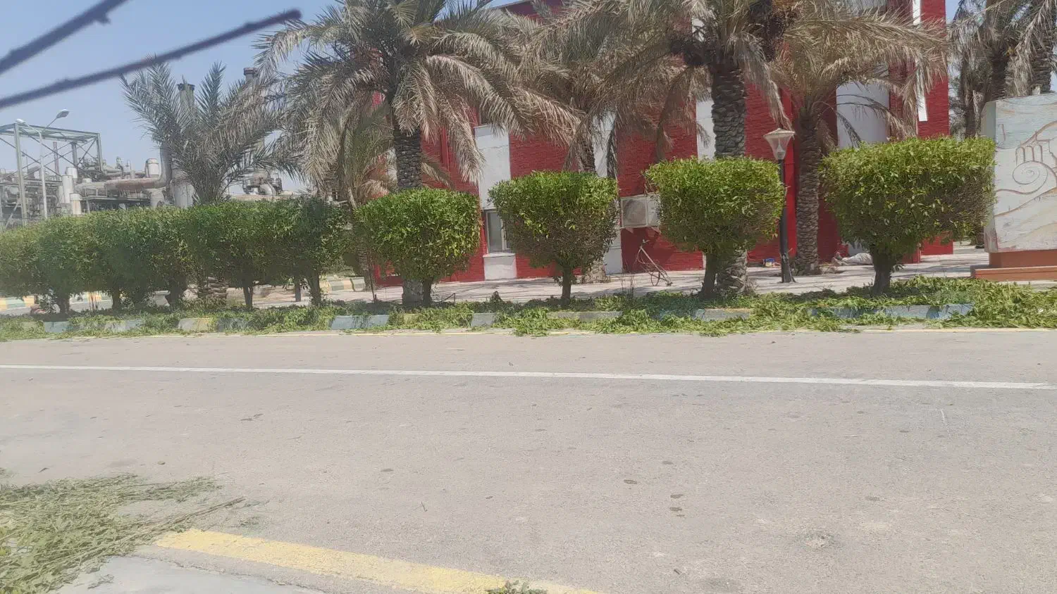 خدمات باغ..|خدمات باغبانی و درختکاری|چمران, |دیوار