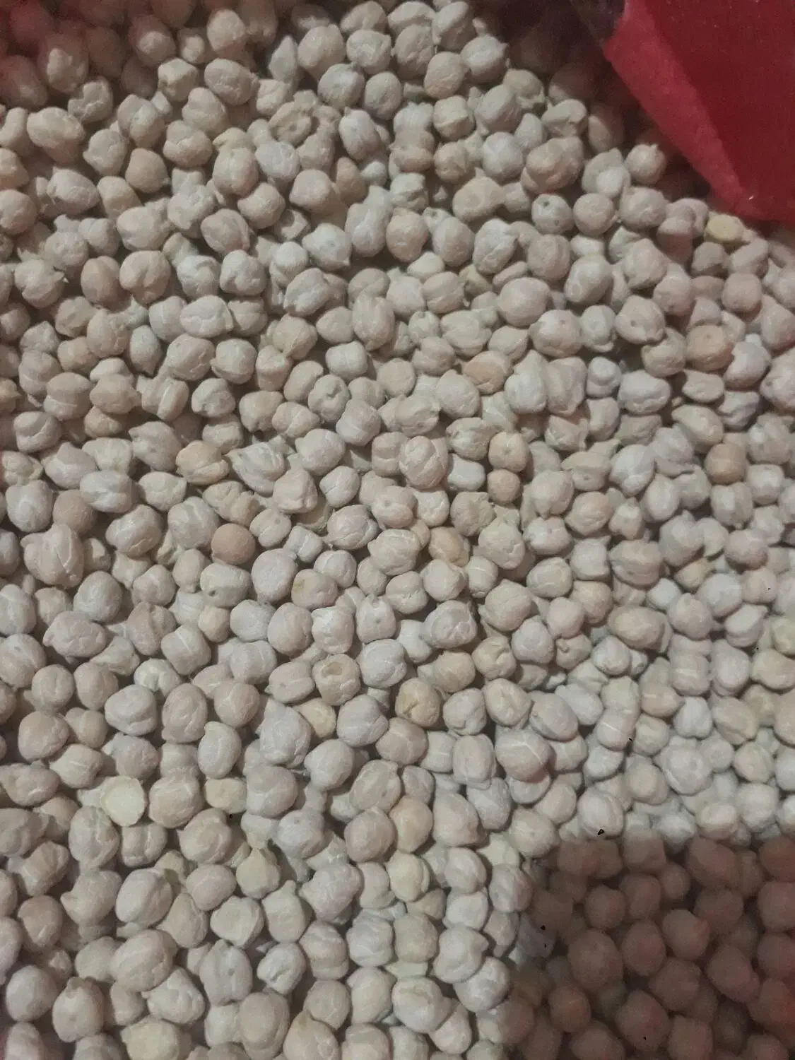 فروش یک تن نخودو ۳۰۰ کیلو نخود|عمدهفروشی|قیدار, |دیوار