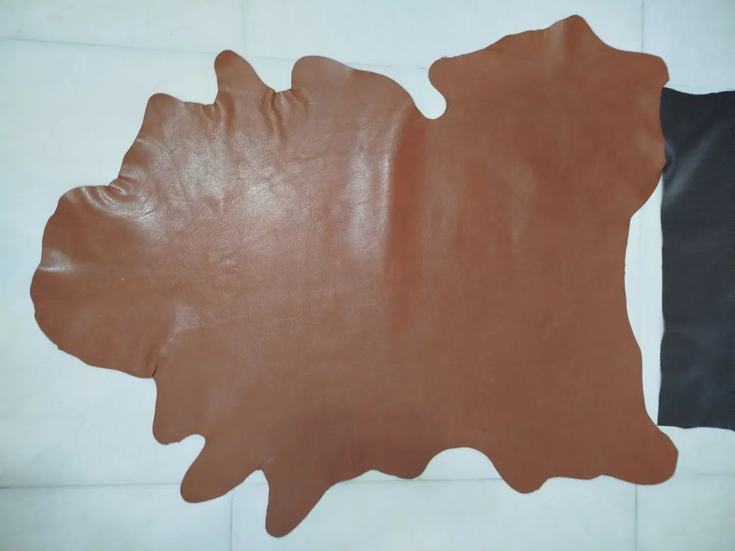 دوتکه چرم طبیعی صل اصل|کیف، کفش، کمربند|شهرکرد, |دیوار