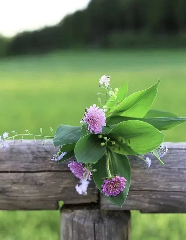 دریافت ۳۰۰ تومان در ۳ دقیقه از سایت طلا|فعالیت داوطلبانه|مشهد, شهرک رازی (شهرک غرب)|دیوار