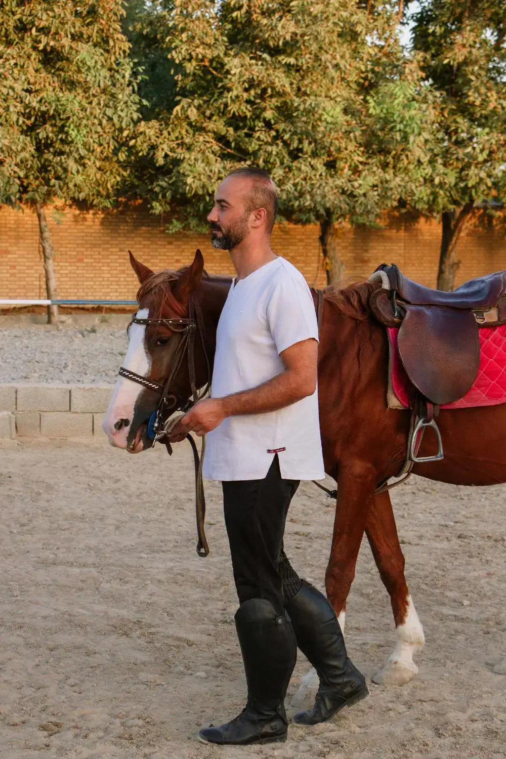 باشگاه سوارکاری پدر|اسب و تجهیزات اسب‌سواری|شهریار, شهریار|دیوار