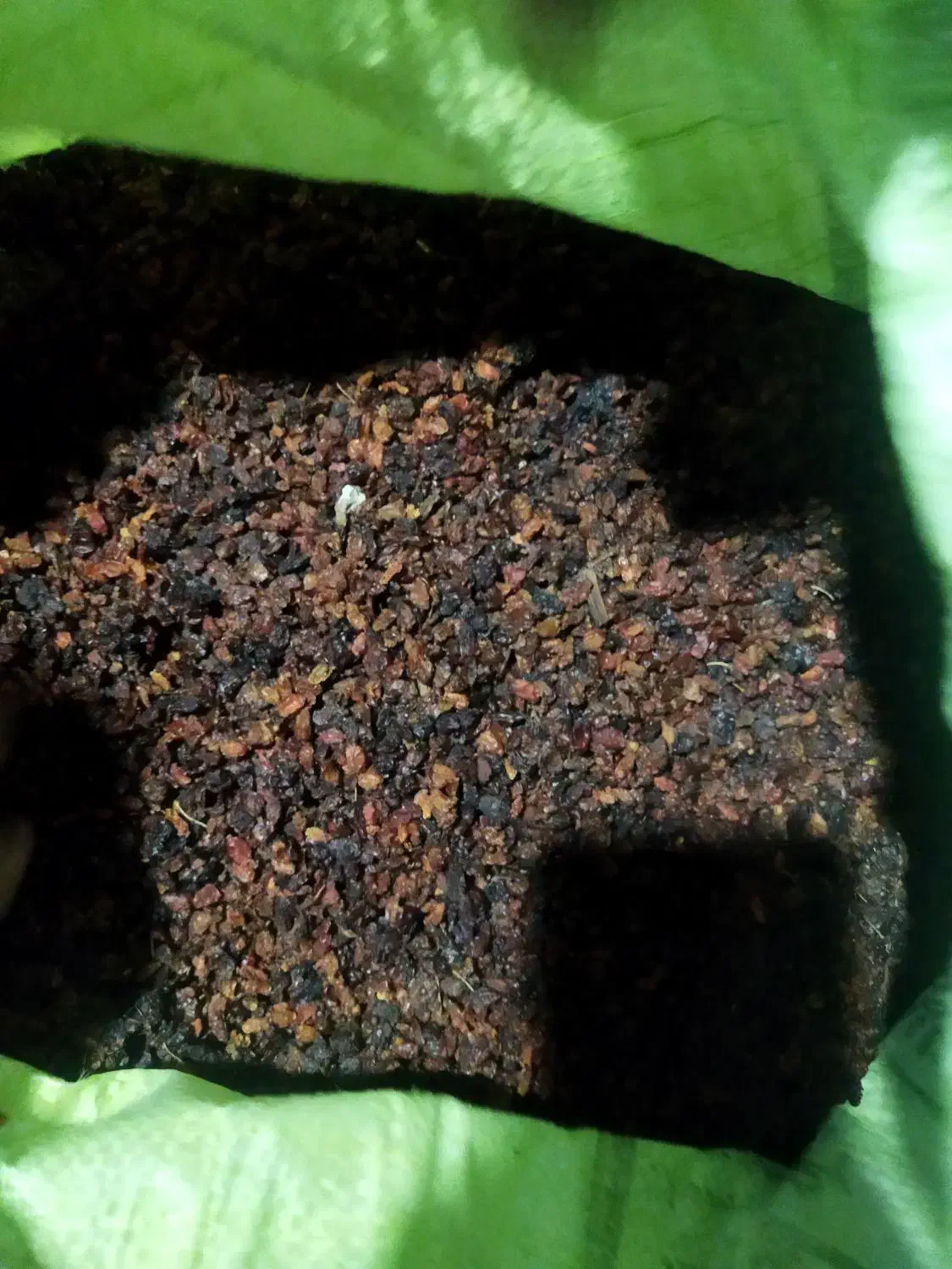 زرشک قرمز و زغال اخته خشک|عمده‌فروشی|شهریار, شهرک وائین|دیوار