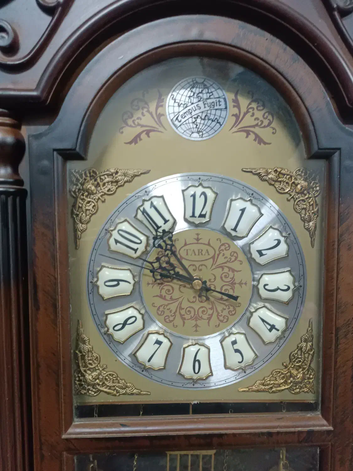 ساعت دیواری قدی|ساعت دیواری و تزئینی|مشهد, شهرک رازی (شهرک غرب)|دیوار