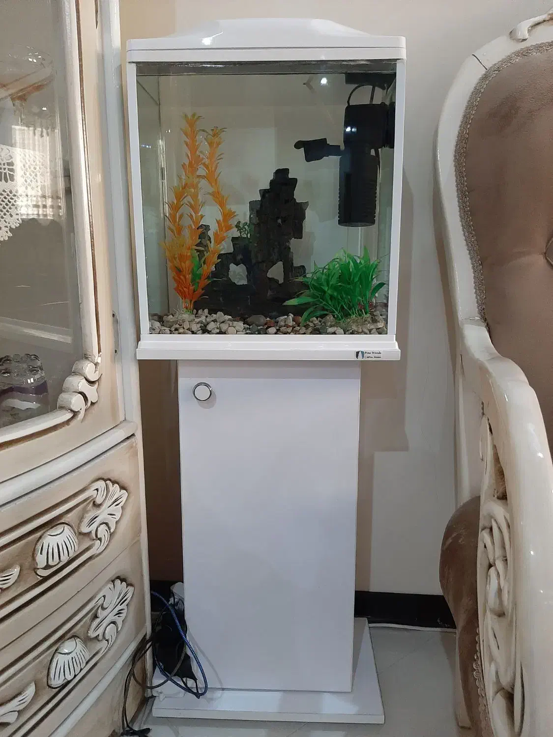 آکواریوم شیک و جم و جور|ماهی|تهران, گلستان (شهرک راه آهن)|دیوار