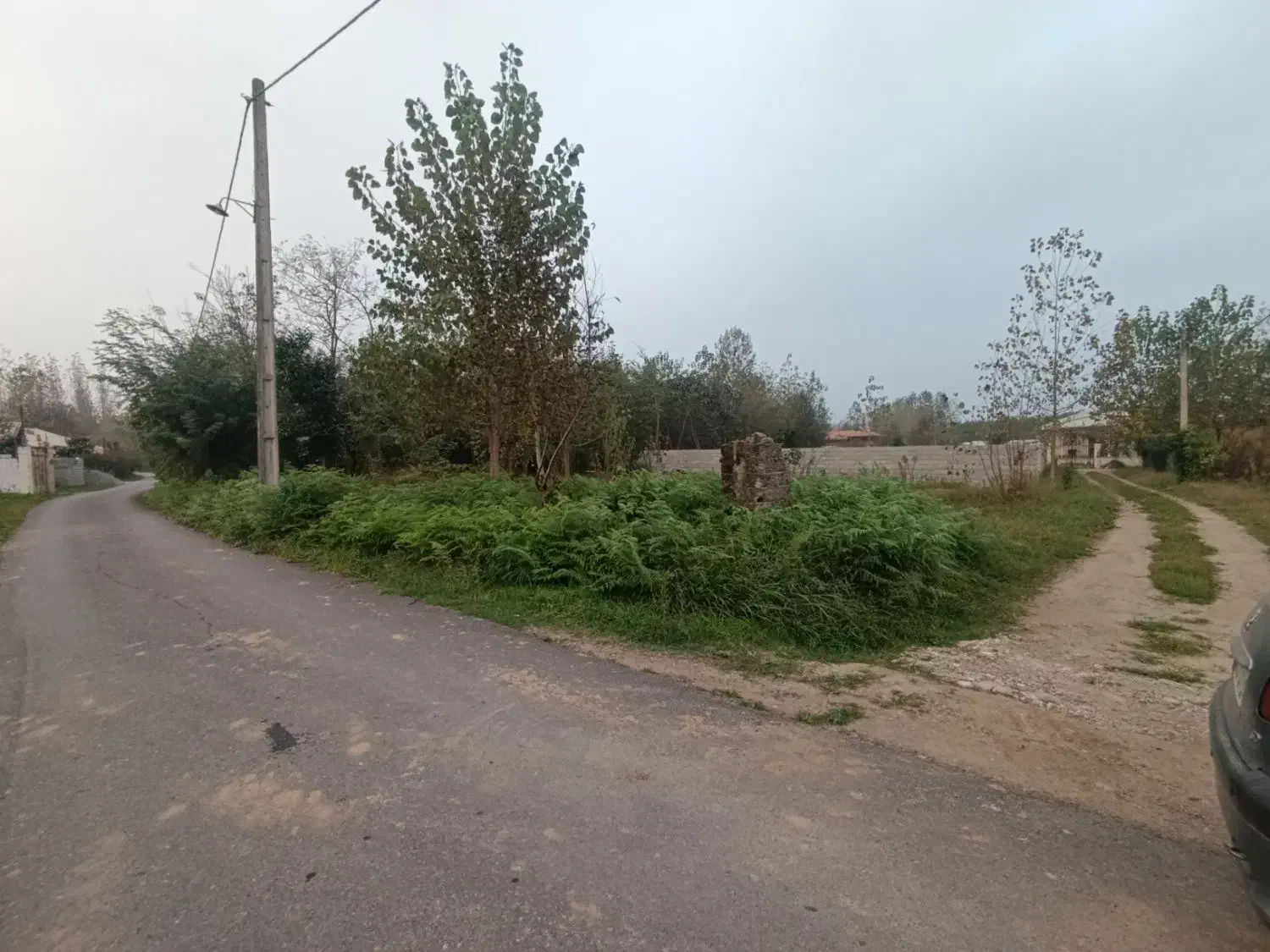 زمین 250 متری کاملا مسکونی|فروش زمین و ملک کلنگی|طاهرگوراب, |دیوار