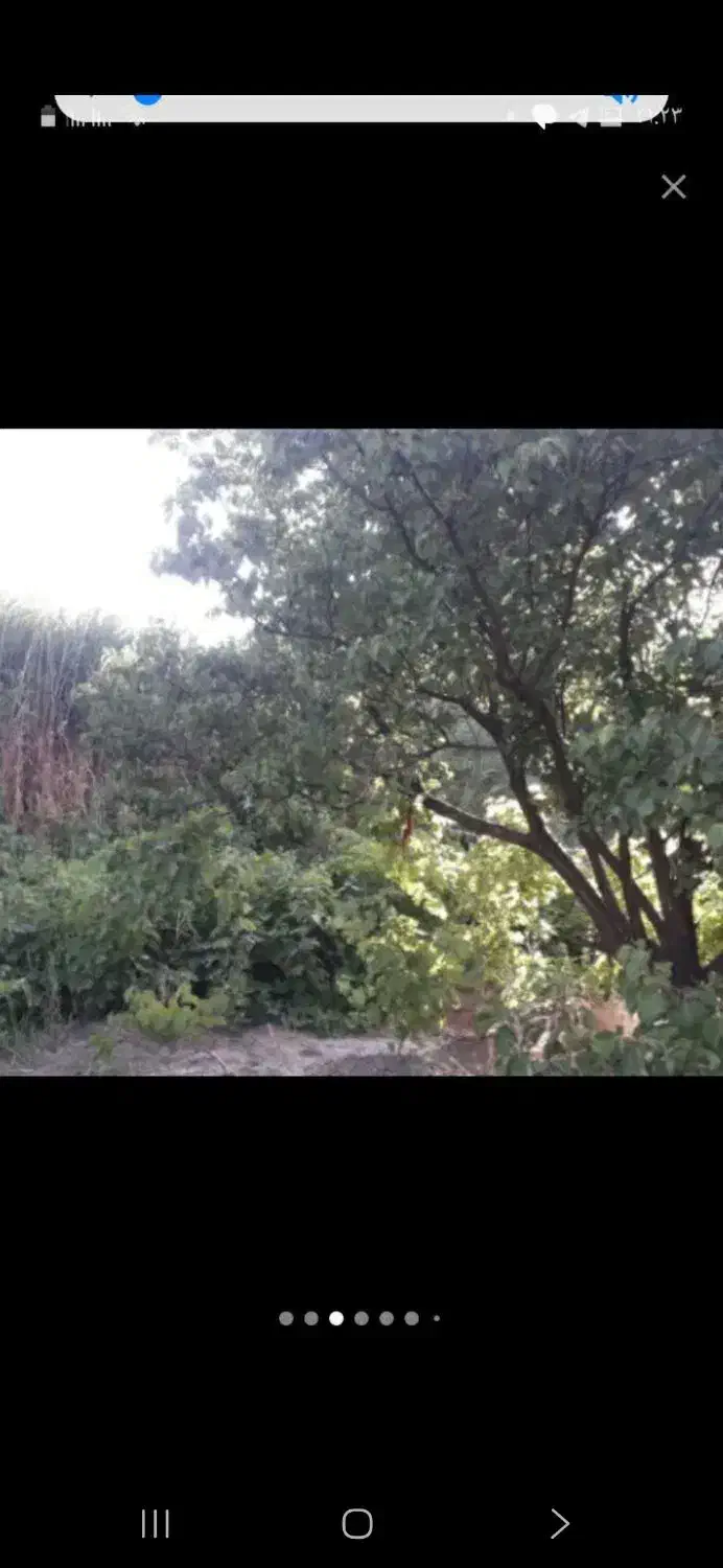 باغ میوه و ویلا در دینور قابل معاوضه|فروش دفتر صنعتی، کشاورزی، تجاری|دینور, |دیوار