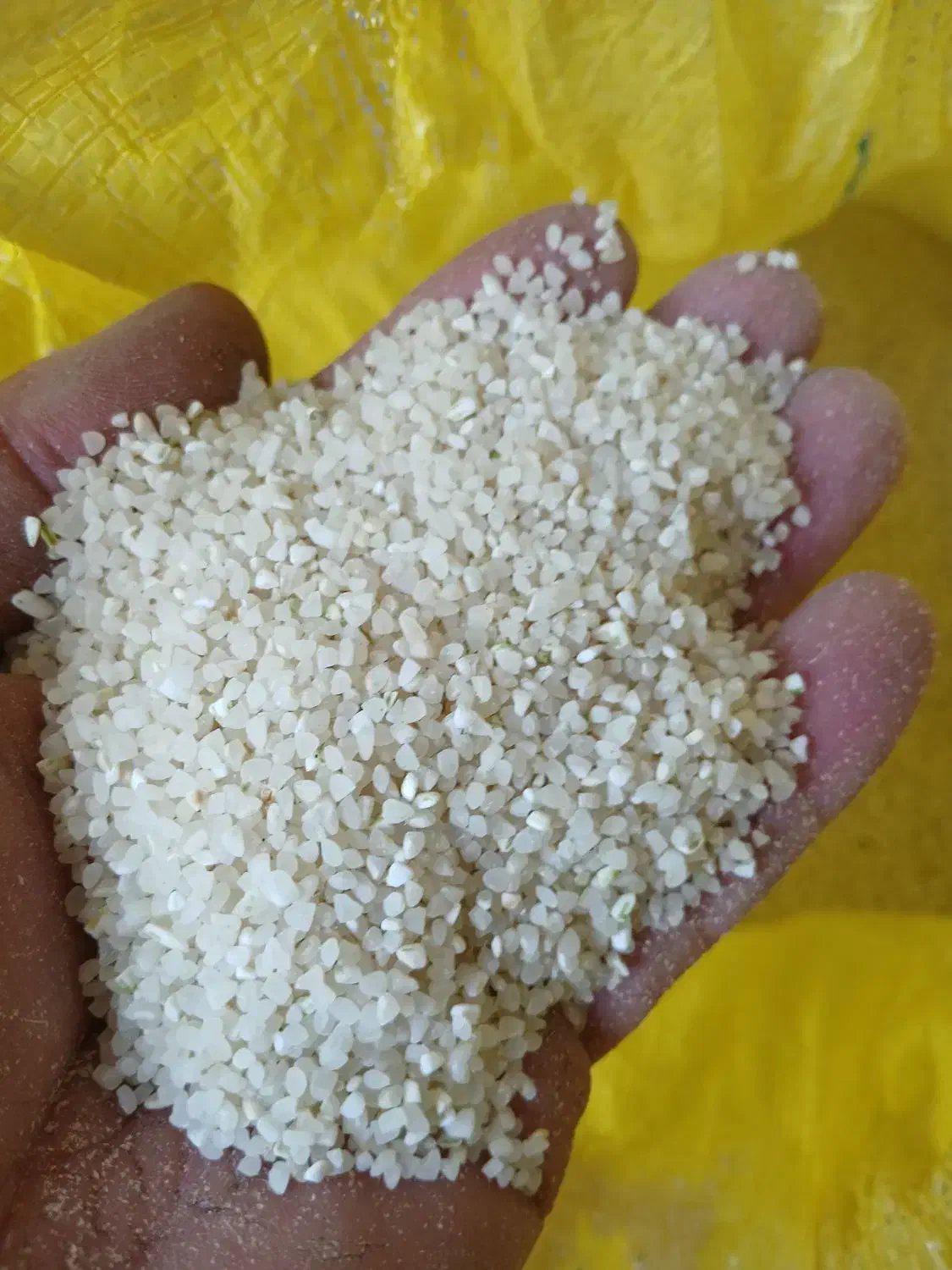 خرده برنج مخصوص اش سبزی ،برنج اصل به شرط پخت نیم|خوردنی و آشامیدنی|شیراز, گویم|دیوار