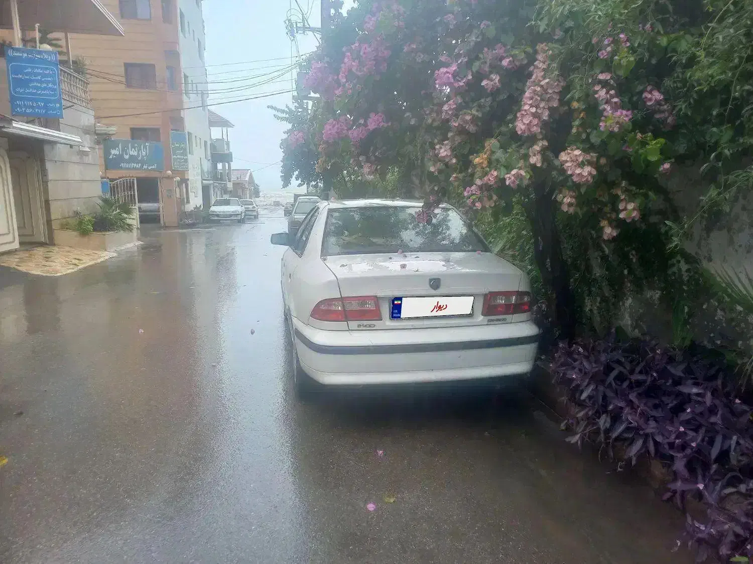 سمندمدل ۹۹ رنگ سفید تکسوز کم کاردم به صفر|خودرو سواری و وانت|یزد, |دیوار