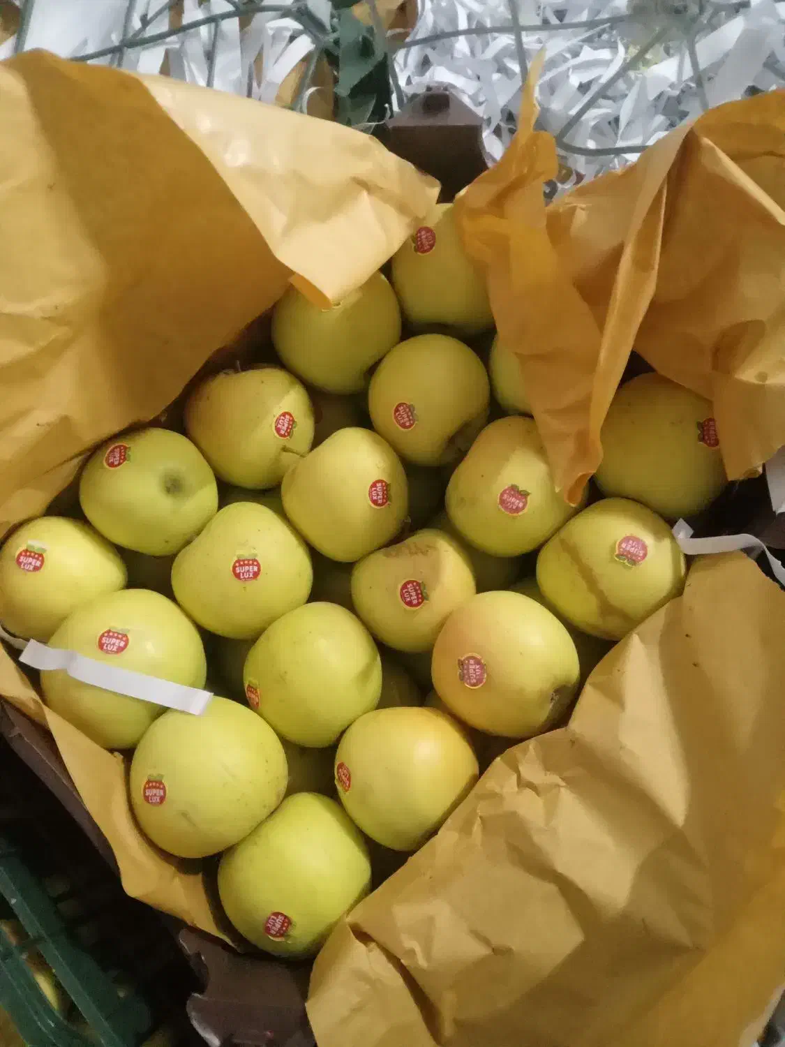 سیب لوکس کوهستانی ارومیه ترگور دربند|خوردنی و آشامیدنی|سیلوانه, |دیوار