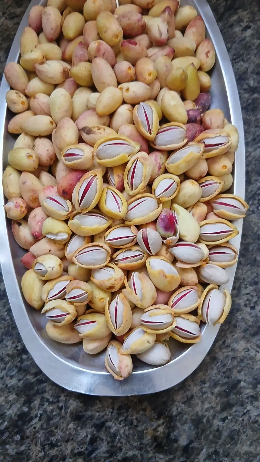 پسته|خوردنی و آشامیدنی|بیرجند, |دیوار
