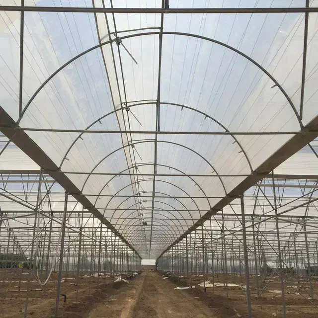 گلخانه ۸۰۰۰|عمده‌فروشی|ورامین, ورامین|دیوار