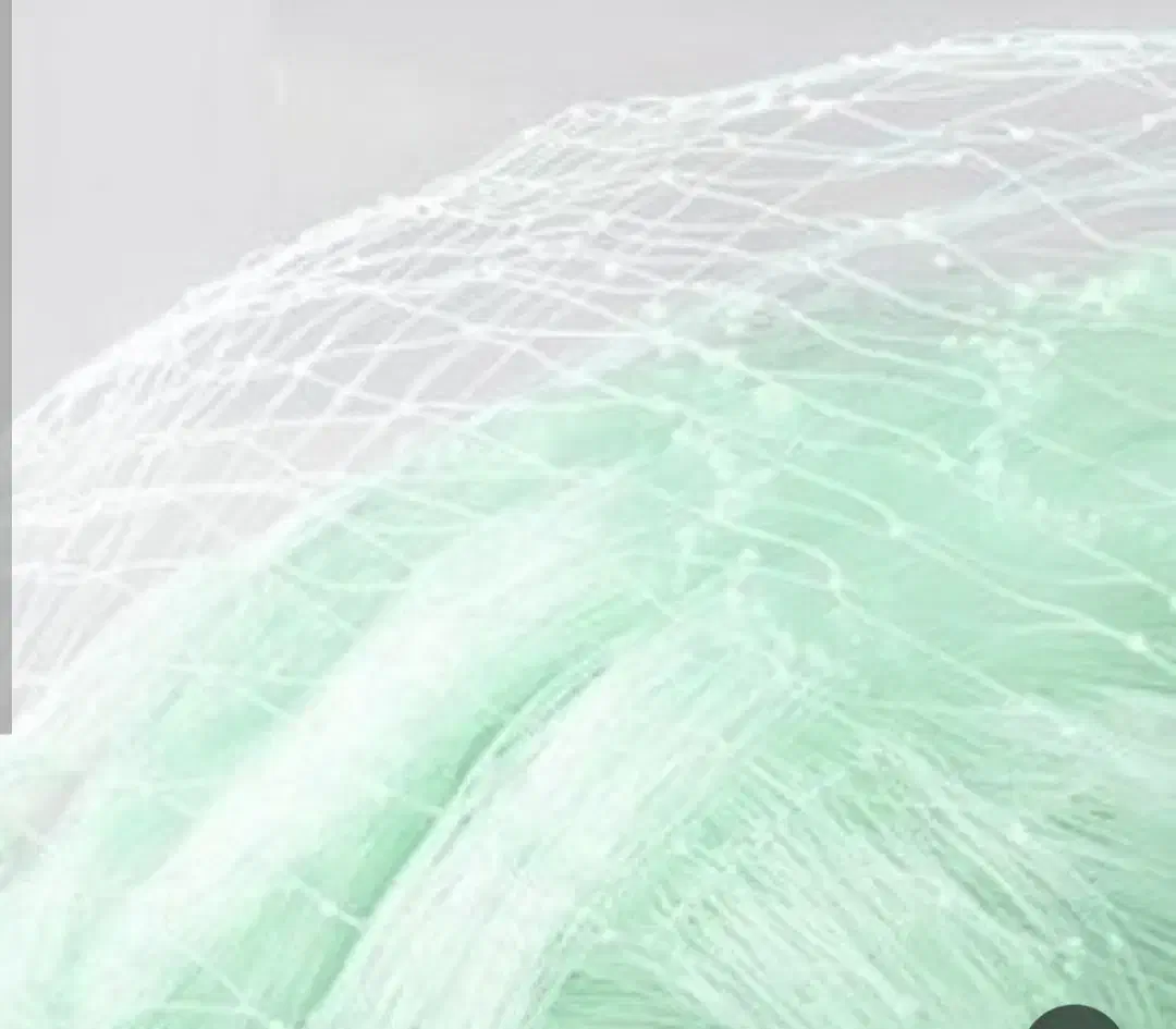 تور  ماهی گیری دولمی|ماهیگیری|بندر گناوه, |دیوار