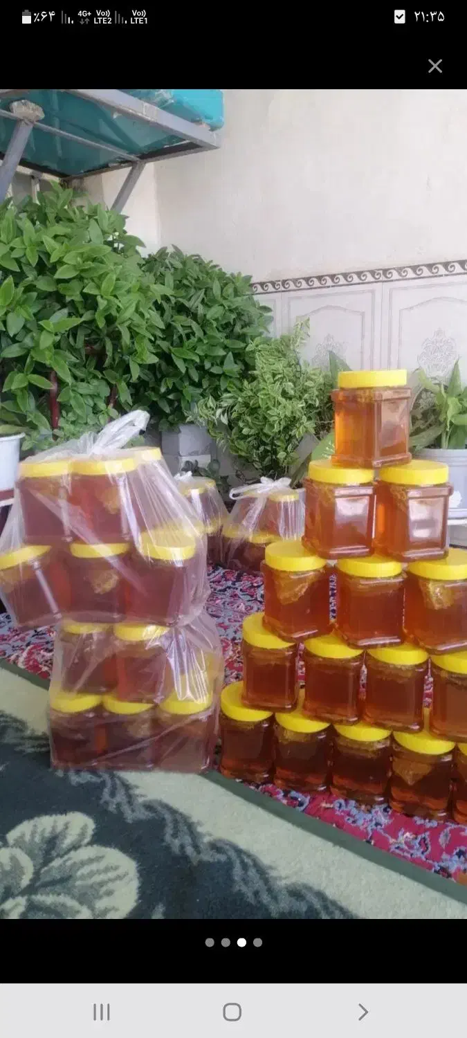 عسل گون اصلی ساکروز زیر ۳ بومی کرمانشاه|خوردنی و آشامیدنی|کاشان, ملاصدرا|دیوار