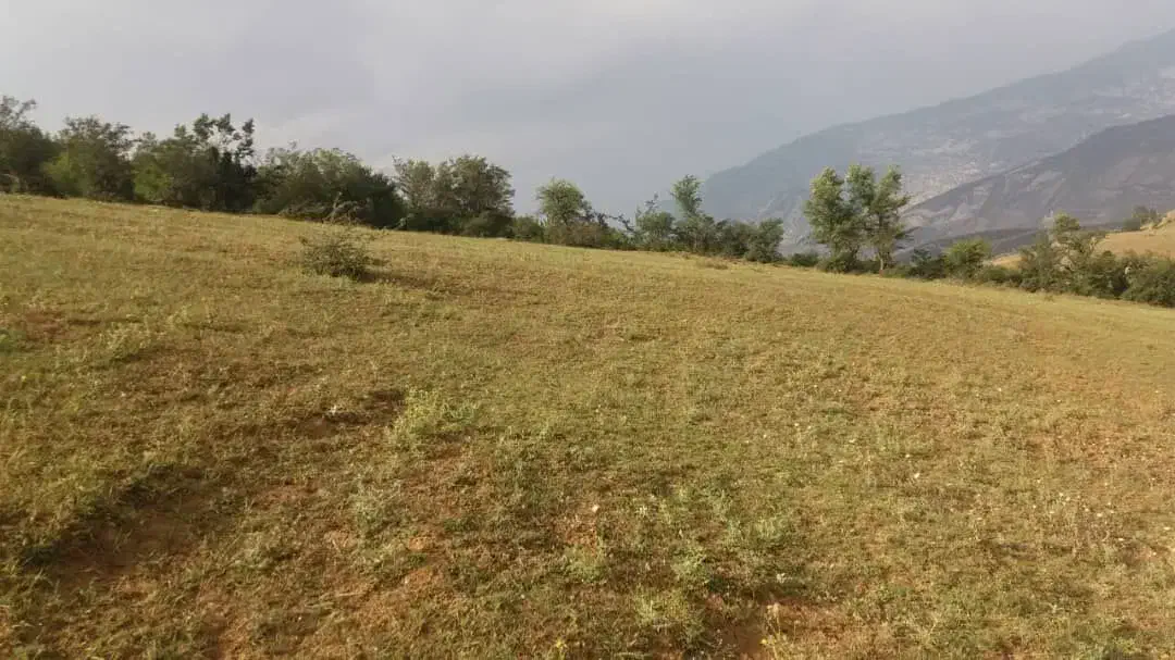 فروش زمین|فروش زمین و ملک کلنگی|مرزن‌آباد, |دیوار