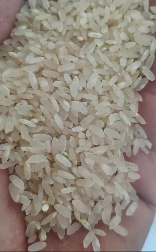 فروش برنج کامفیروزی|خوردنی و آشامیدنی|صدرا-فارس, فاز ۲|دیوار