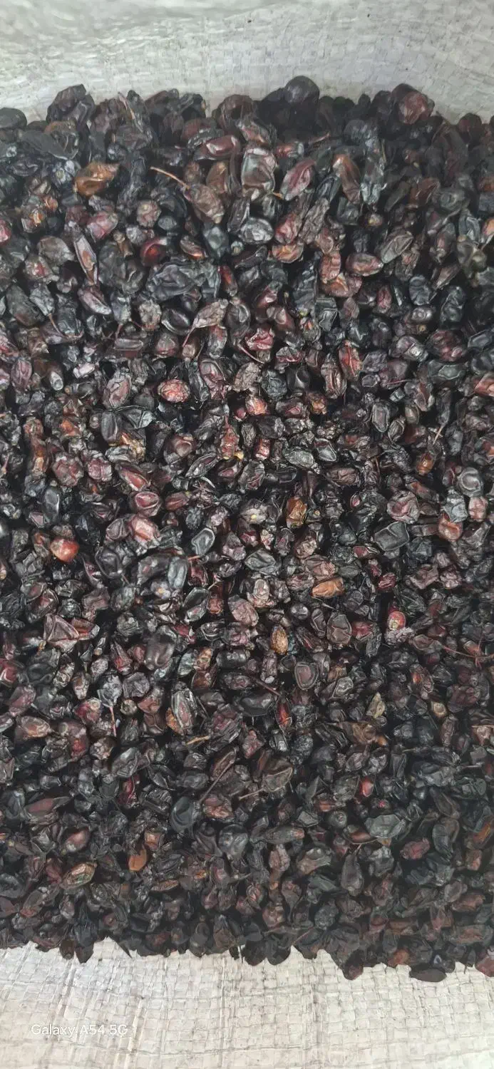 زرشک سیاه(کوهی)|خوردنی و آشامیدنی|اهواز, کوی فاطمیه|دیوار