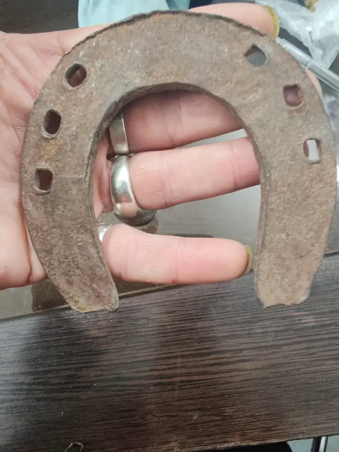 نعل|کلکسیون اشیاء عتیقه|مشهد, نرگس (شهرک غرب)|دیوار