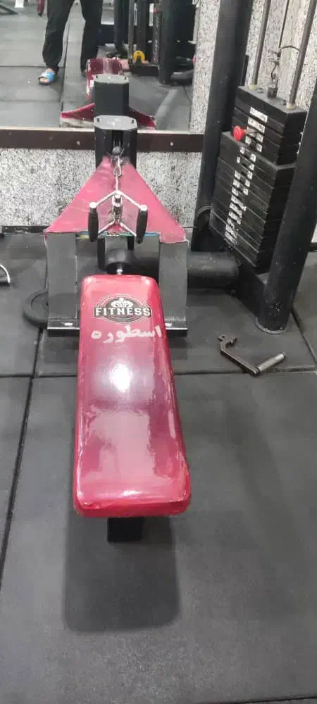 دستگاه قایقی|تجهیزات ورزشی|باوی, |دیوار