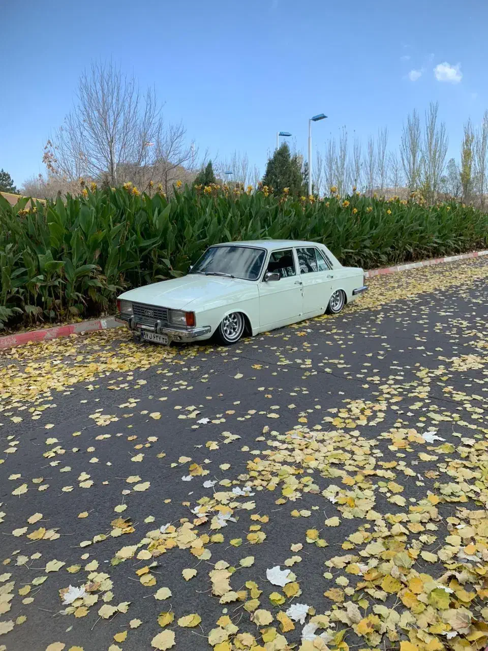 پیکان|خودرو سواری و وانت|باسمنج, |دیوار