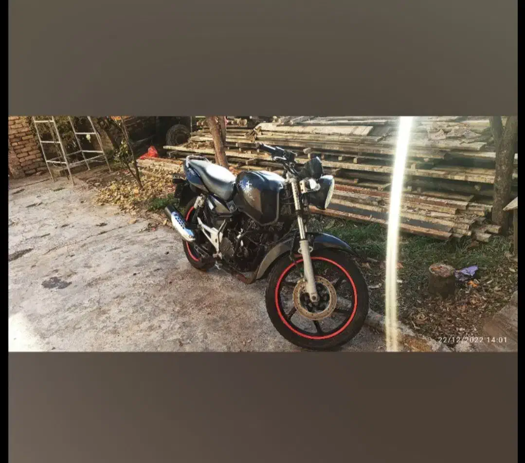 پالس 180|پرنده|مینودشت, |دیوار