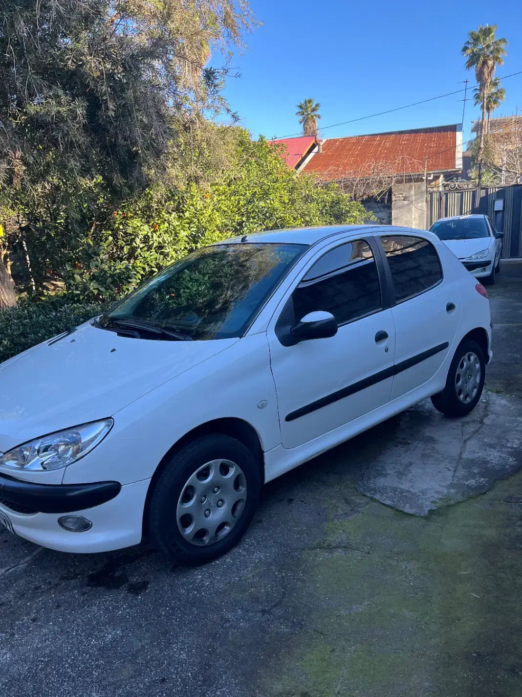 پژو ۲۰۶ تیپ ۲ مدل ۸۹|خودرو سواری و وانت|تنکابن, |دیوار