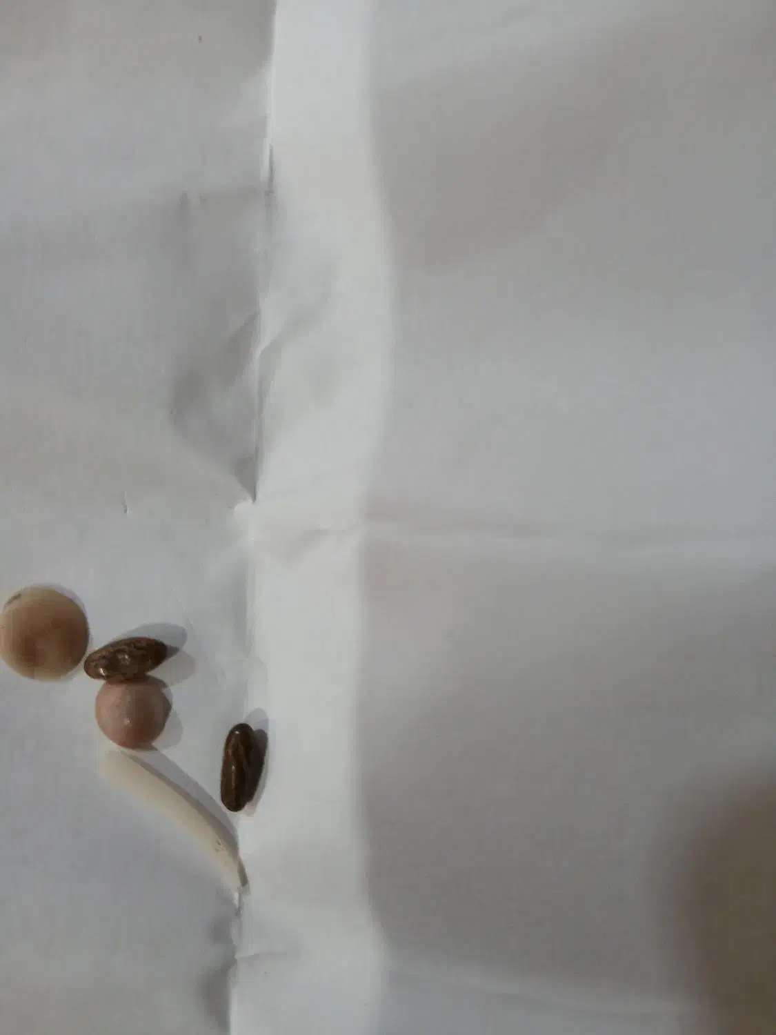 مهره قدیمی|بدلیجات|مسجد سلیمان, |دیوار