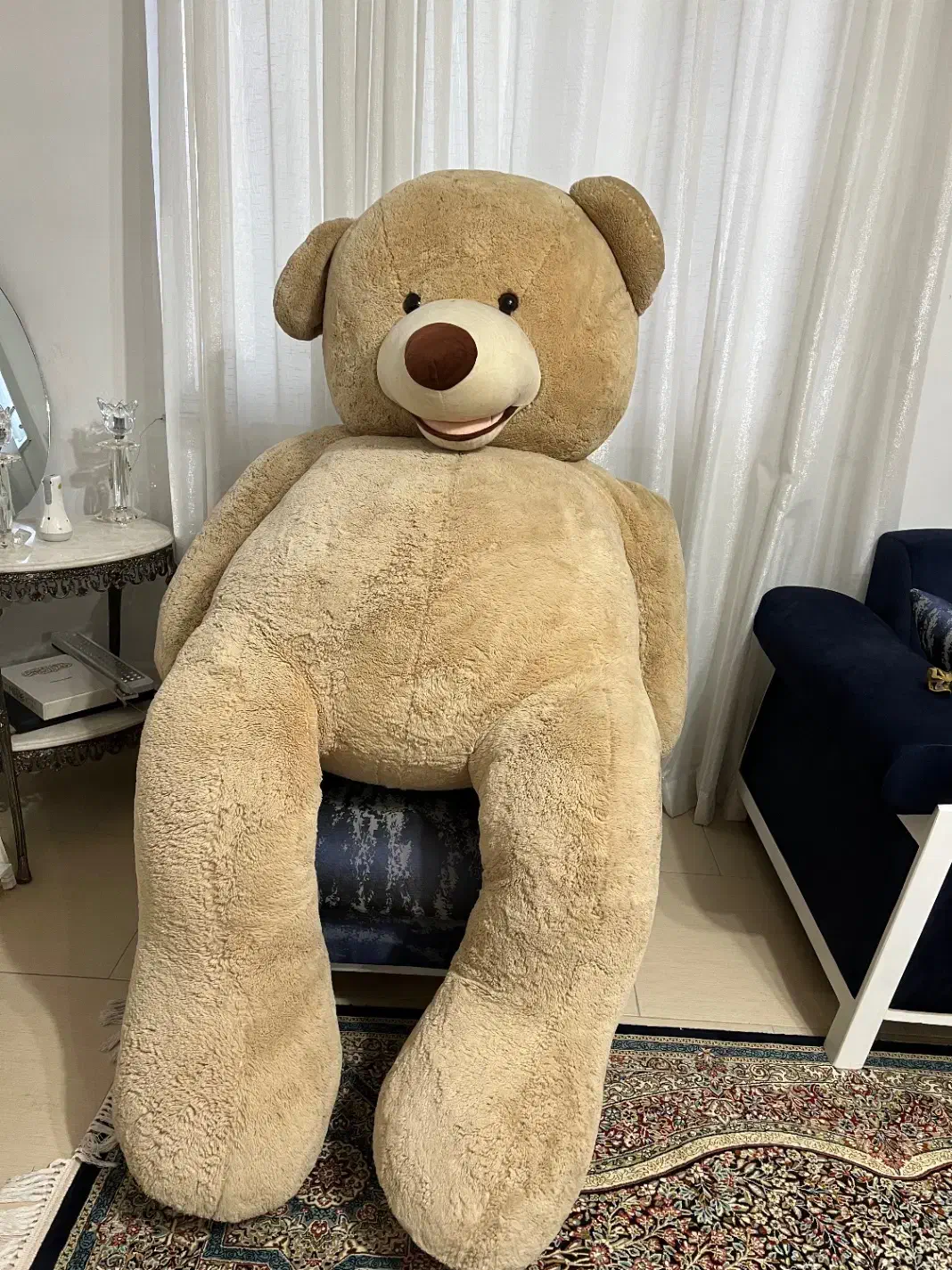 عروسک خرس|اسباب‌‌بازی|رشت, کوی یخ|دیوار