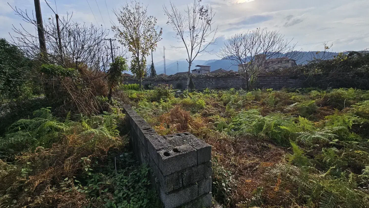 فروش زمین ۲۷۸ متر کاربری مسکونی بر جاده|فروش زمین و ملک کلنگی|چابکسر, |دیوار