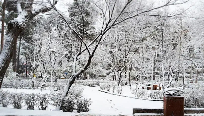 ۱۰۰ متری/پارک ساعی/آرژانتین/کم سال/ارزنده|فروش آپارتمان|تهران, آرژانتین|دیوار