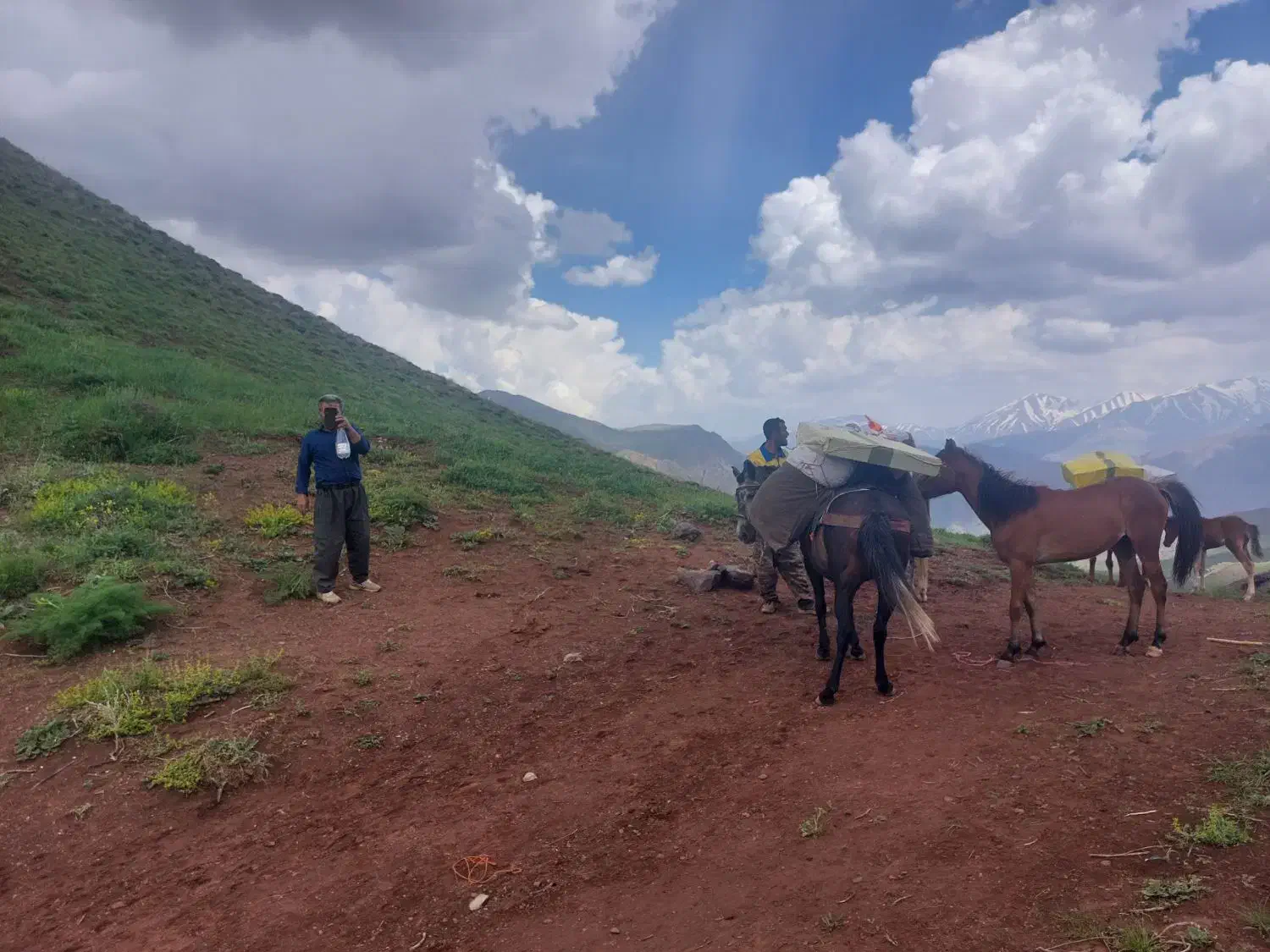 گوسفند(بره نر ماده میش بز بزغاله)کوهستانی|حیوانات مزرعه|هشتگرد, هشتگرد قدیم|دیوار