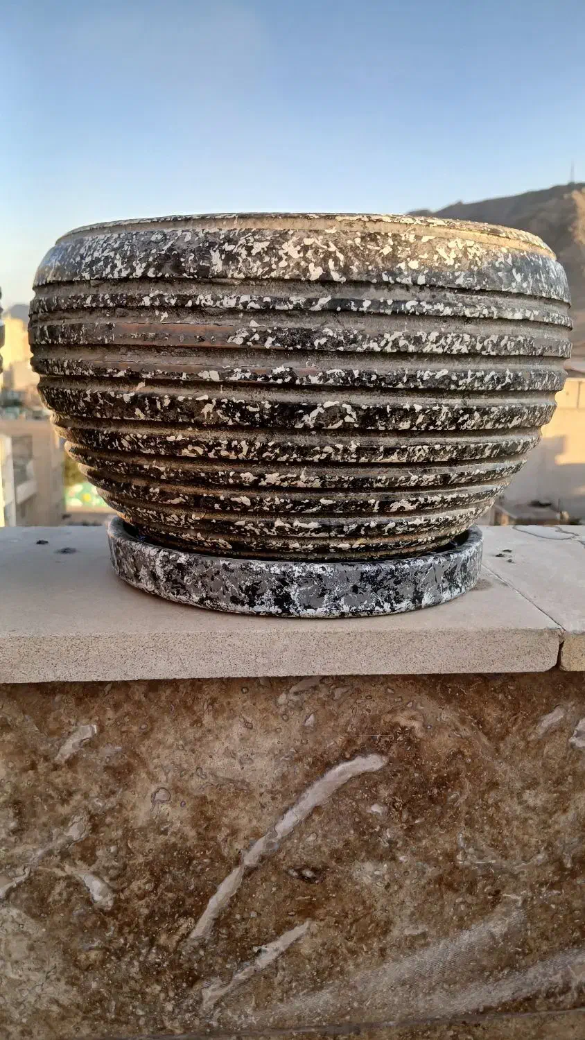 دو عدد گلدان سنگی|گل و گیاه طبیعی|تهران, مشیریه|دیوار