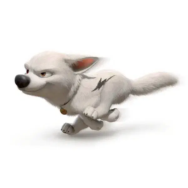 سگ پیدا شده|حیوانات|اصفهان, بهارستان|دیوار