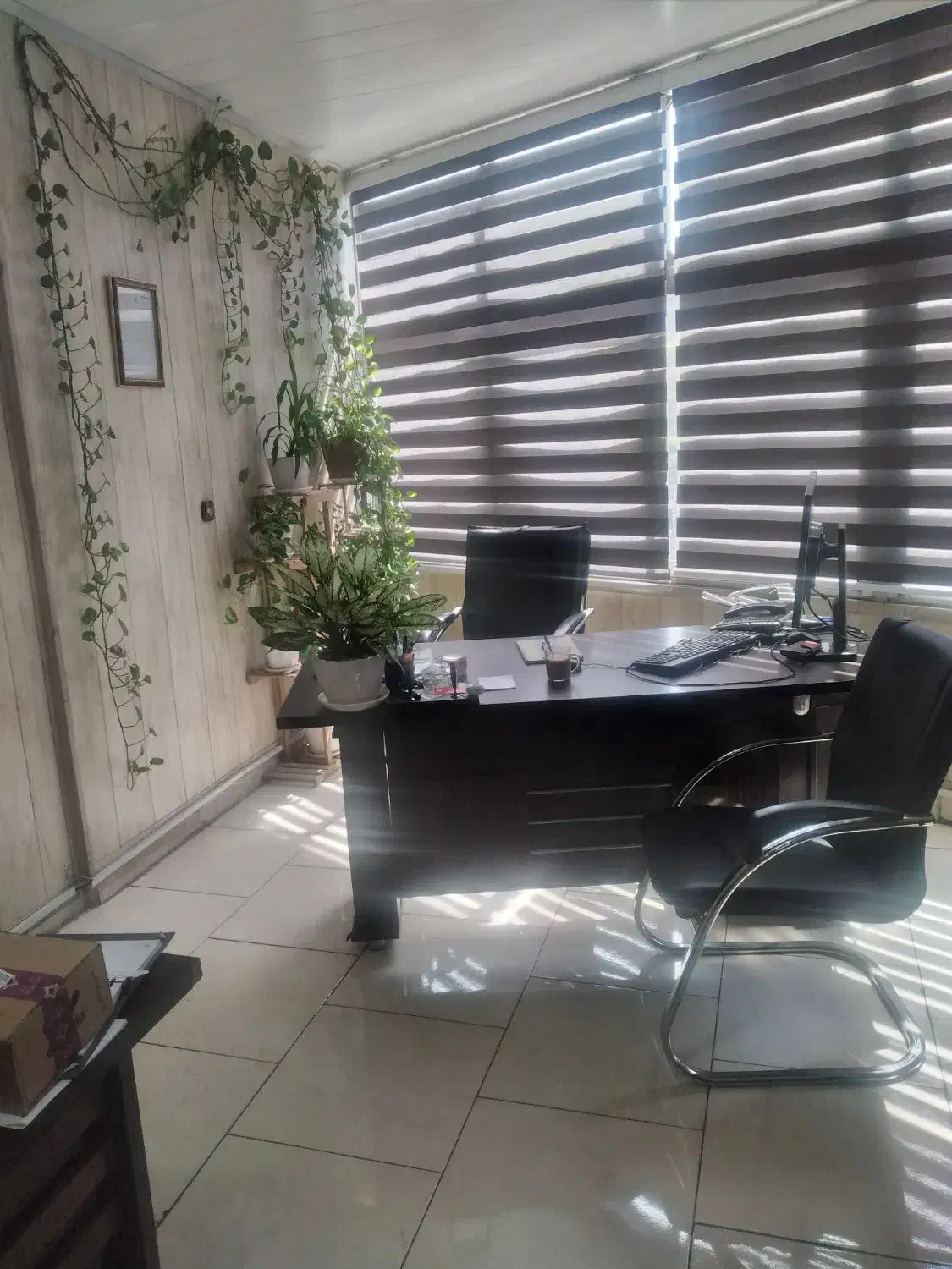 استخدام پرستار در دفتر پرستاری مهرانا|استخدام درمانی، زیبایی، بهداشتی|تهران, سلسبیل شمالی|دیوار