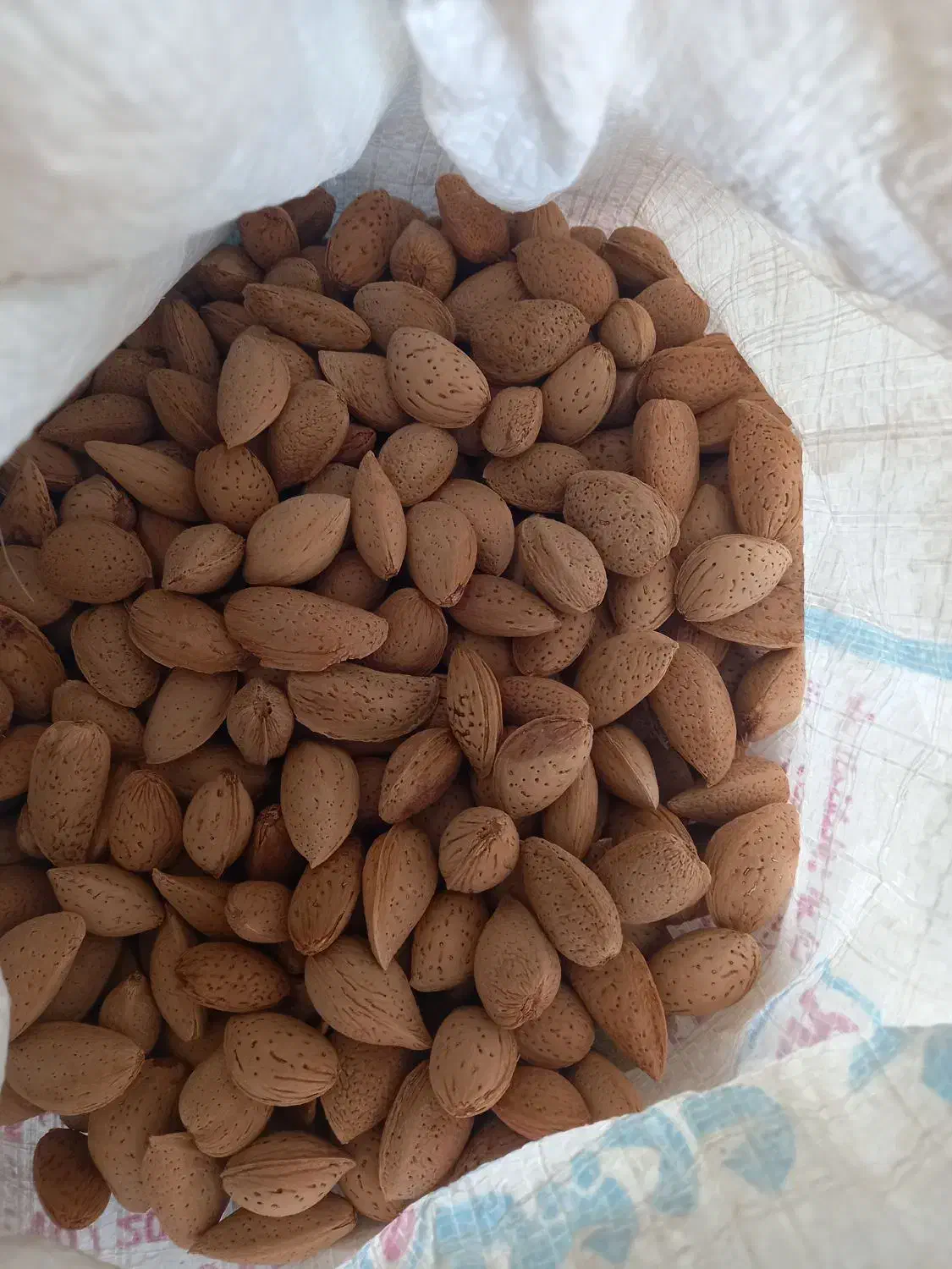 بادام|خوردنی و آشامیدنی|سامن, |دیوار