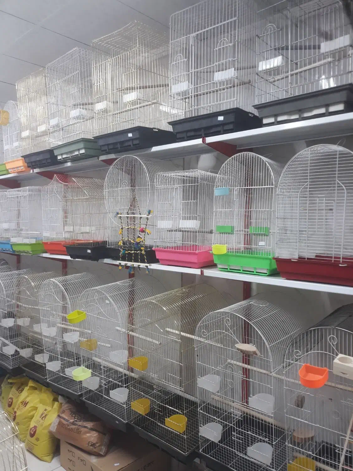 لوازم حیوانات خانگی|لوازم جانبی حیوانات|پاکدشت, پاکدشت (مامازند)|دیوار