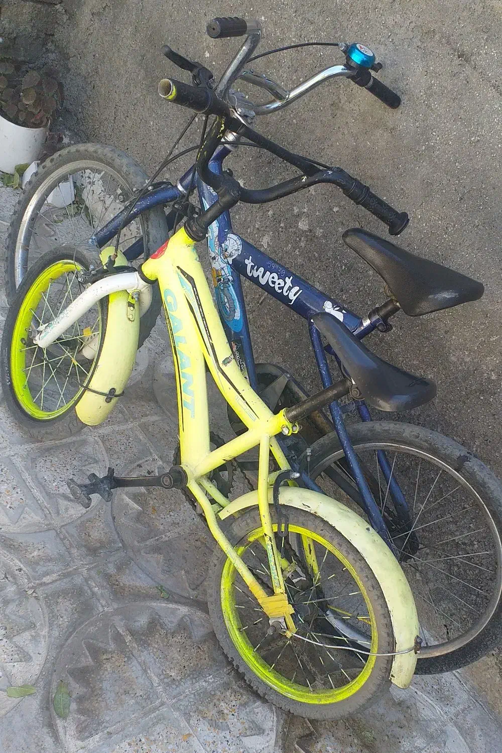 دوتا دوچرخه|دوچرخه، اسکیت، اسکوتر|بروجرد, |دیوار