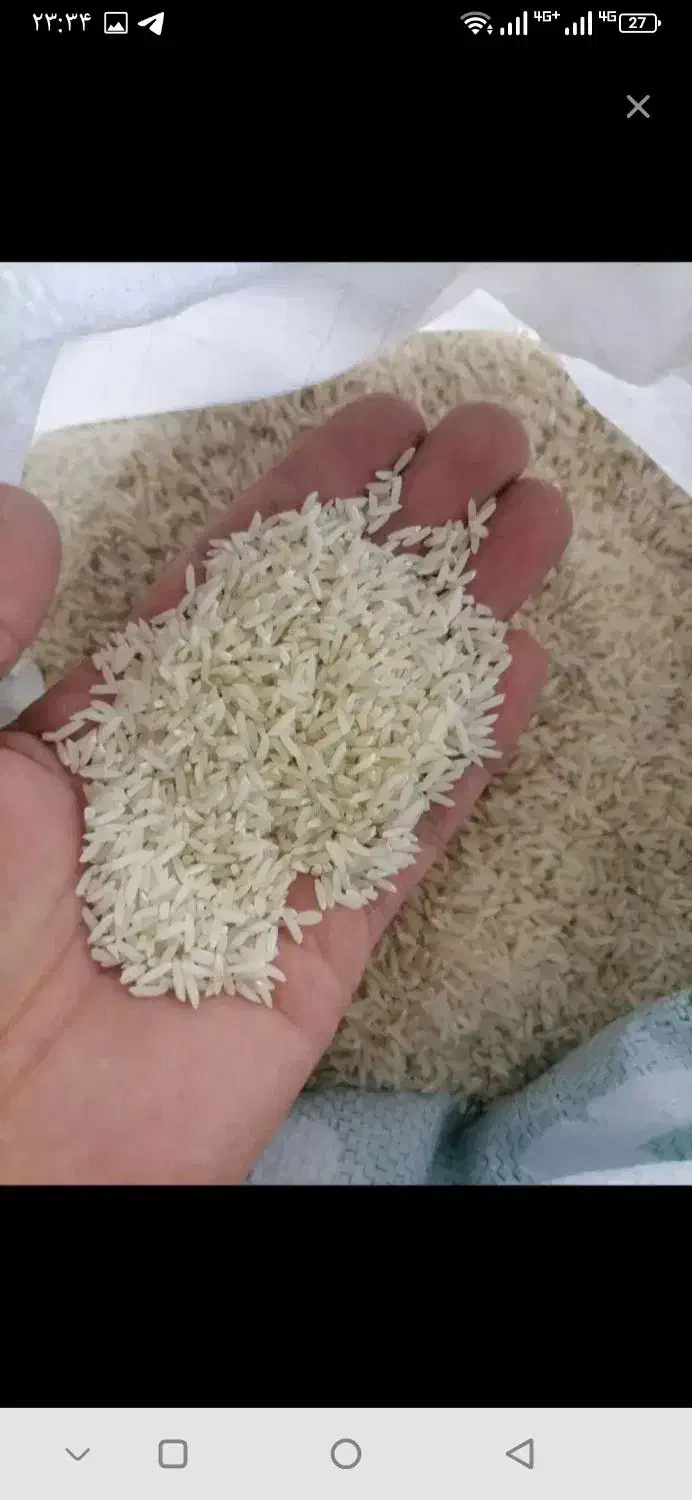 برنج طارم دمسیاه درجه ۱ مانه|خوردنی و آشامیدنی|بجنورد, |دیوار